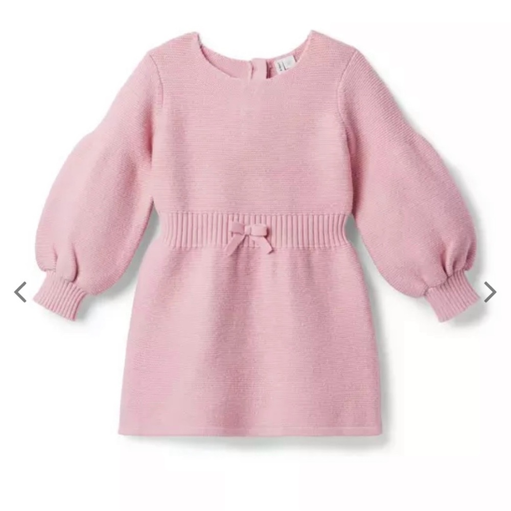 NWT Janie and Jack pink sweater dress 16T